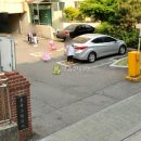 강서구-43 이미지