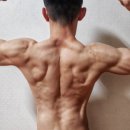 스파이더실내암벽클라이밍