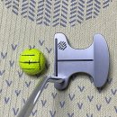 Bettinardi Baby Bee Xcelerator 베티나르디 베이비 비 엑셀러레이터 헥스티 커스텀 퍼터