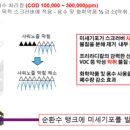 버블그린 이미지