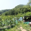 영호네농장 이미지