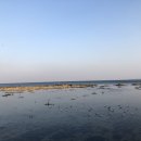 오도리펜션