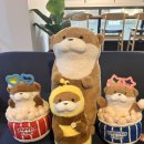 짱오락실 동탄2호점 | 강남 인형뽑기 / 강남 오락실 / 강남 놀거리 / 강남 데이트코스 추천