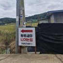 투투 | 대부도 새우 먹으러 투투새우&amp;수산 다녀온 후기