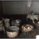 환영2농장 이미지