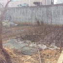 내곡동269 이미지