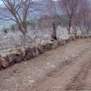 테마임도공원1 이미지