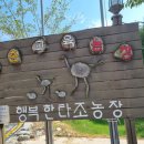 정일모농장 네이버블로그
