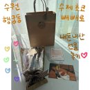 초코나비 | 수원 행궁동 수제 초콜렛 빼빼로 기념일 수능 선물 초코나비 내돈내산 후기