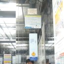 메이저타워(메이저빌딩) 네이버블로그