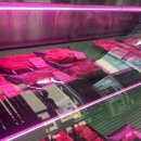 한우마루 | 청주 동남지구 한우맛집 마루 동남지구본점 후기 (소고기 맛집 추천)