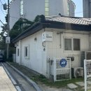 대전 대동히피펌 추천 젤리펌추천 어뉴 애플헤어 소제점 솔직후기 현진디자이너쌤 추천