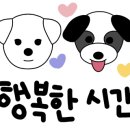 알프스애견 이미지