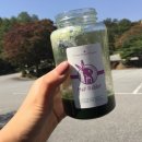 메이레빗