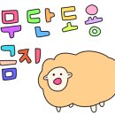 여수팜 이미지