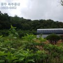 녹지부동산공인중개사사무소 이미지