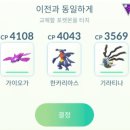 포켓몬고 리더 알로 배틀 공략 후기(23년도 10월기준)