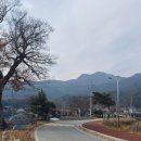 죽동마을회관앞 이미지