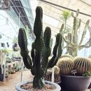 대각농장 이미지