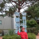 봉평고등학교 이미지