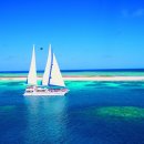 현지패션 이미지