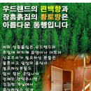 장흥흙집세상 이미지