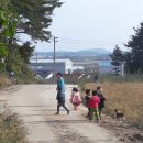 청하초 병설유치원 이미지