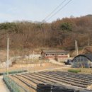 삼거1리 마을회관 이미지