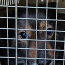 솔튼병원 이미지