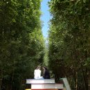 연원농장 이미지