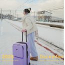 로즈플래닛 | 28인치 캐리어 추천 크기 수화물 무게 저울 고비욘드 퍼플로즈