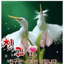 ♠ 할매와 택시 2탄 -보고도봐도 좋은글 중에서 이미지