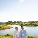 소피토제주 이미지