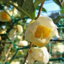 나오리농장 이미지