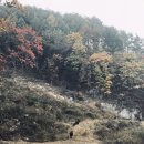 봉화흑염소 이미지