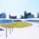 DDP 이미지