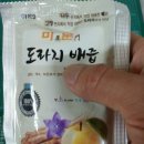 아리엘미문 이미지