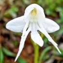 반포삼정공인중개사사무소 이미지