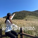 상행농장 | [공지] 울산 영남알프스 간월재 억새군락지 등산 최단코스 소요시간 주차 휴게소