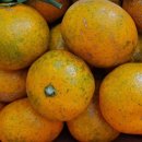 지승농장 이미지