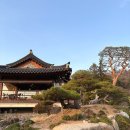 동상 | 안양 가볼만한 곳 군포 명장 홍종흔베이커리 4살 아이랑 다녀온 후기 - 조경이 예쁜 한옥카페 추천