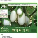 키와노 - 북구 송내1길 10 | 키와노