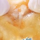 햇님이네식당 이미지