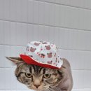 잔다냥 천안점 이미지