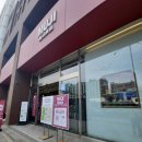 무지 강남점 포도구미젤리 후기
