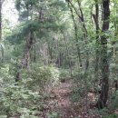 석곡주유소 이미지