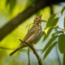 갯골근린공원 이미지