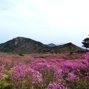 비슬산자연휴양림 이미지