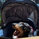 삼시세끼(서생) | [울산/서생] 저렴한가격 푸짐한양 진하해수욕장가성비맛집 방가루 진하서생본점