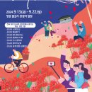 9월 14일(토) 영광 불갑사 붉디 붉은 선홍빛 꽃길 꽃무릇 축제/♡35,000/조중식(찰밥) 36석리무진운행 이미지